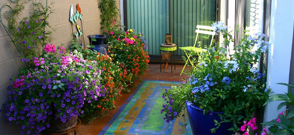 Small Patio with colorful Pots